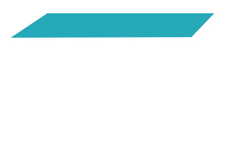 Protege icon
